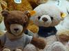 le montreur d’ours a nantes (magasins-de-jouets)